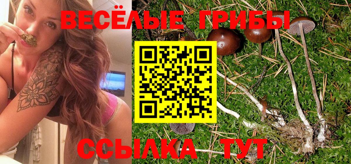 Псилоцибиновые грибы GOLDEN TEACHER  Псилоцибиновые грибы Psilocybe  Новочеркасск  Вход с VPN 